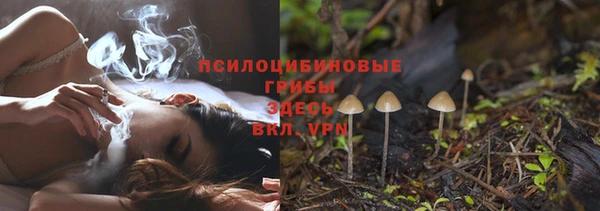 амф Вязьма