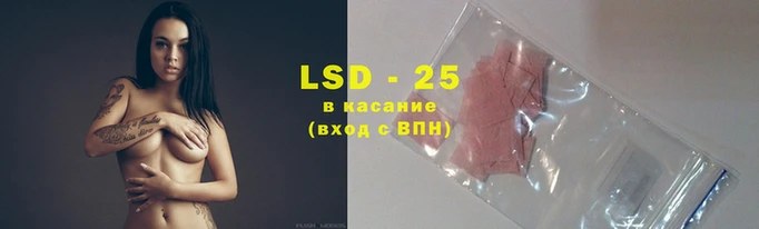 амф Вязьма