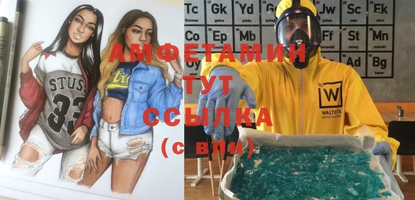 mdpv Вяземский