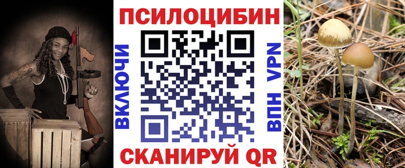 где найти наркотики  Курчалой  Псилоцибиновые грибы Magic Shrooms 
